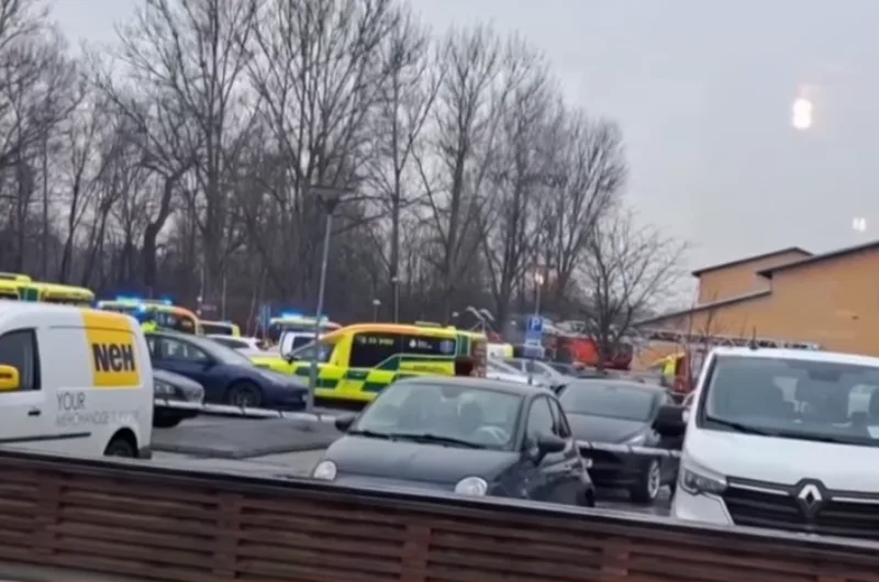 šucnjava svedska 5