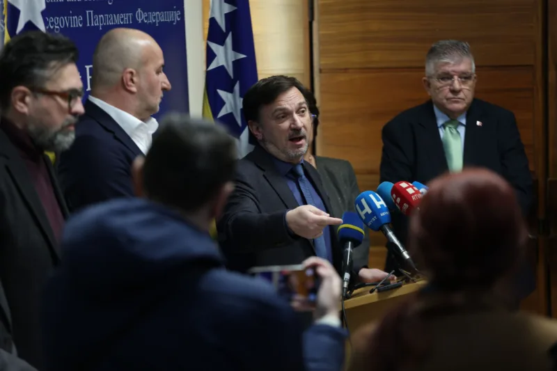 amir hasicevic fena ns parlament