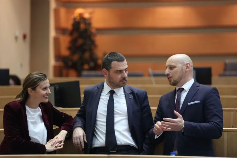 sasa magazinovic parlament fena