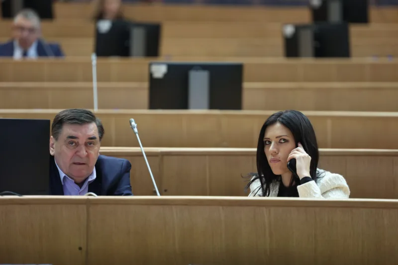 sanja-vulic-parlament-fena
