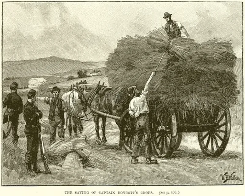 The Saving of Captain Boycott's Crops