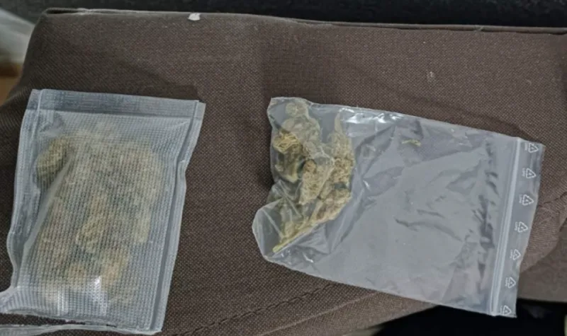 gracanica droga