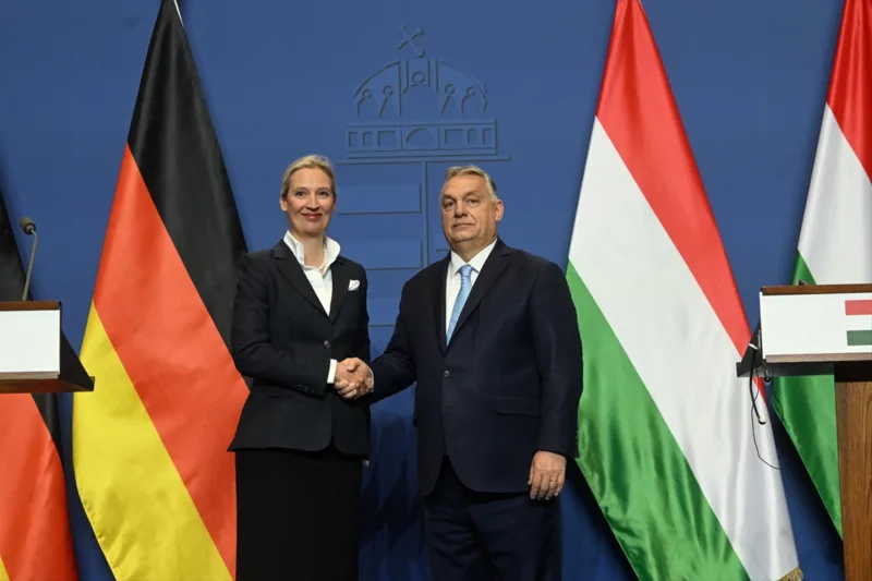 Weidel orban