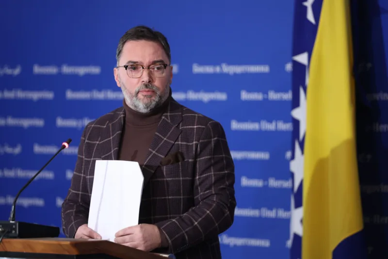 stasa kosarac fena izjave