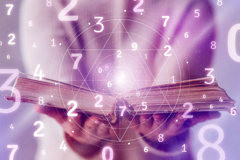 20250211173557_886531