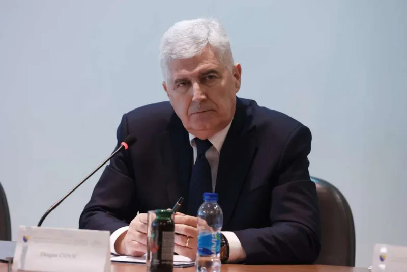 dragan covic kafa fena