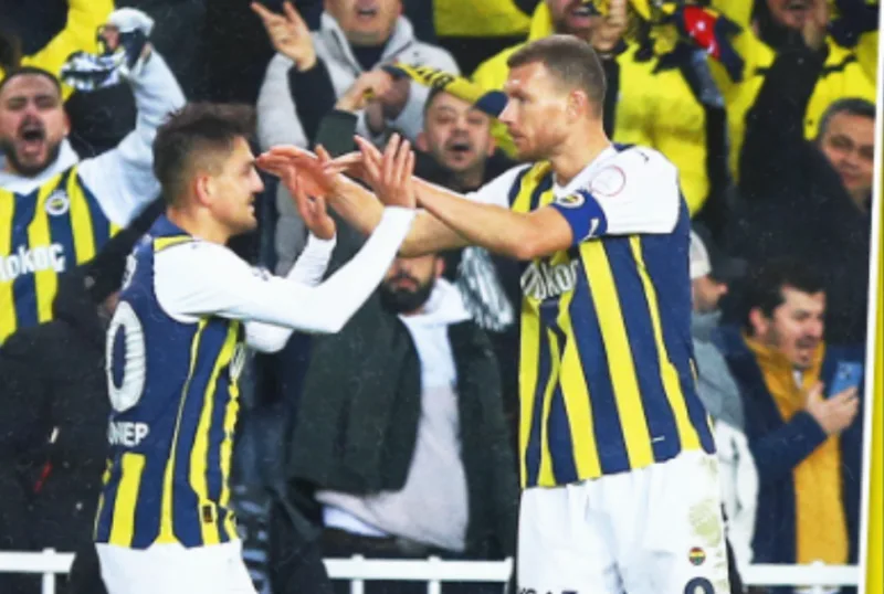 udenr i dzeko fener