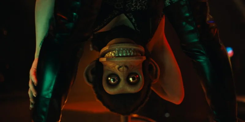04 THE MONKEY JPG