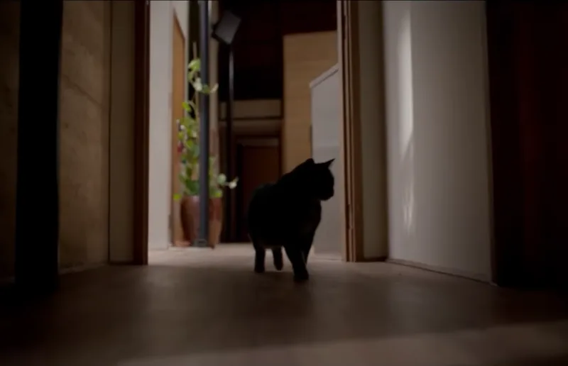 trailer 4