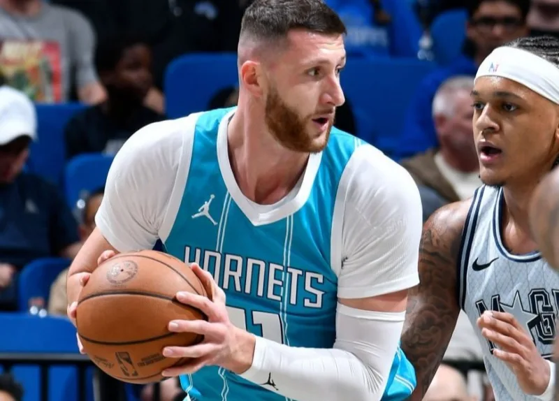 nurkic hornets