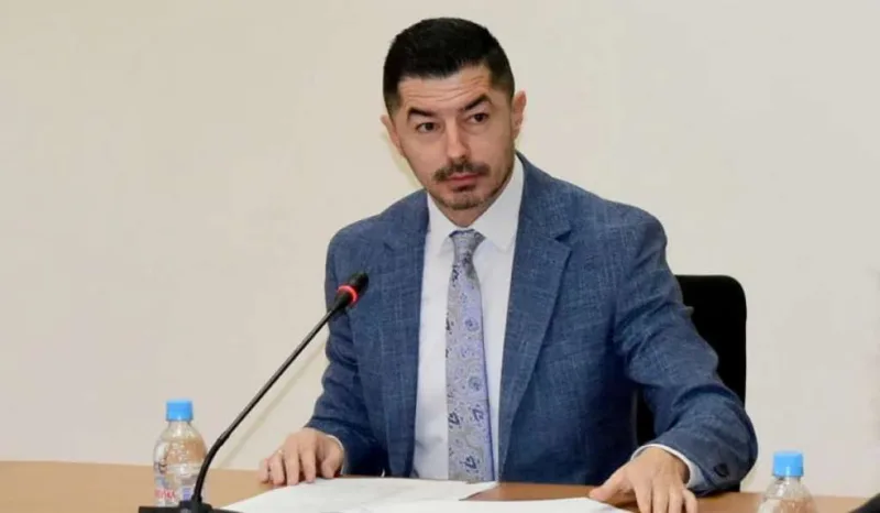 damir bulcevic