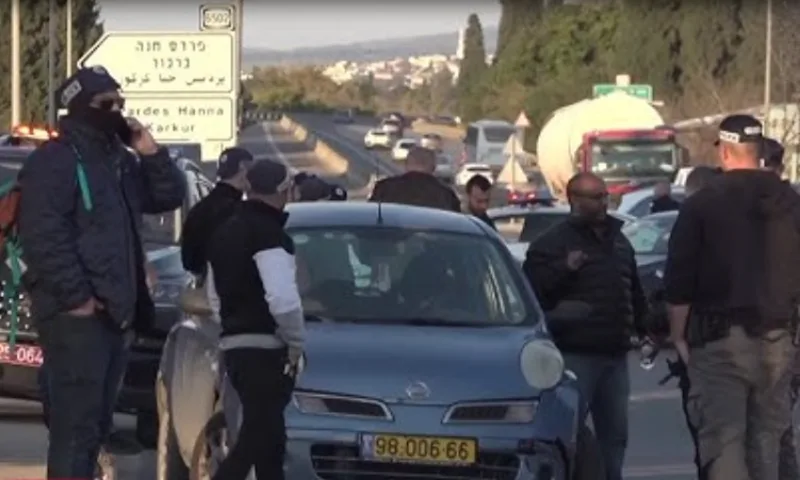 haifa 5