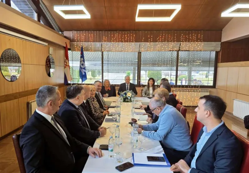 hdz 1