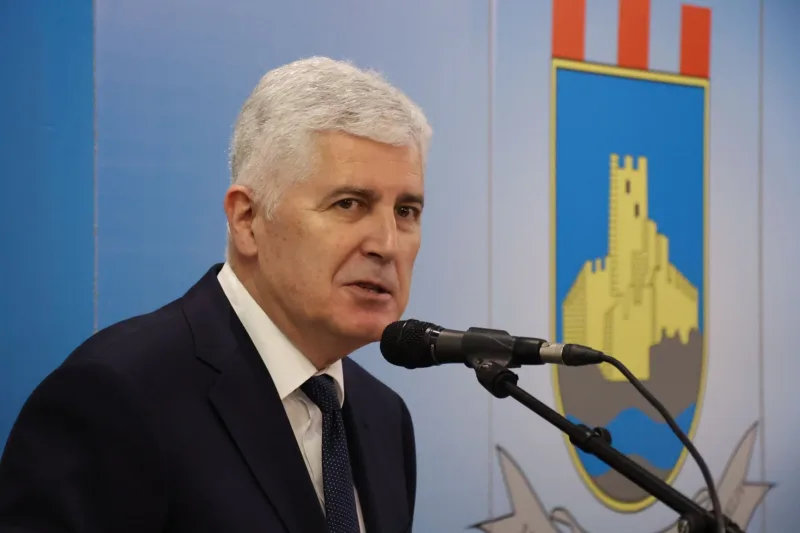 dragan covic ljubiski fena