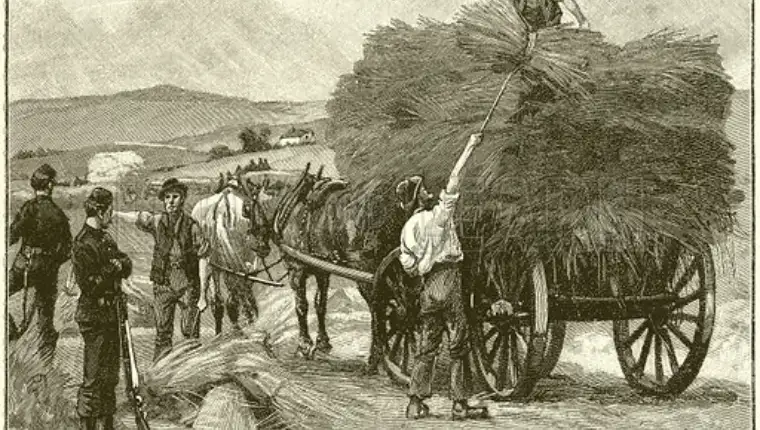 The Saving of Captain Boycott's Crops