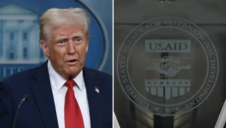 trump 6