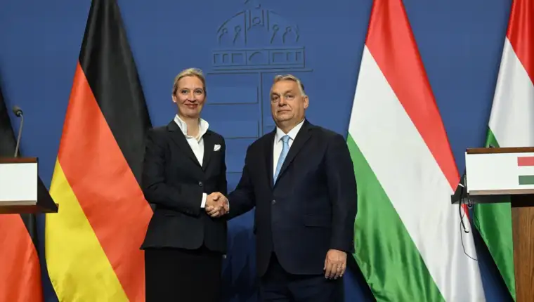 Weidel orban