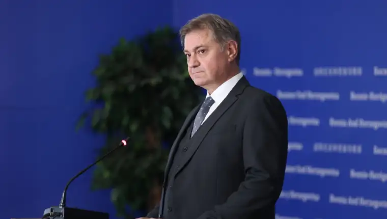 denis zvizdic fena