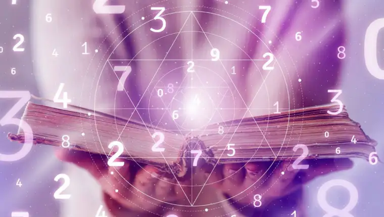20250211173557_886531