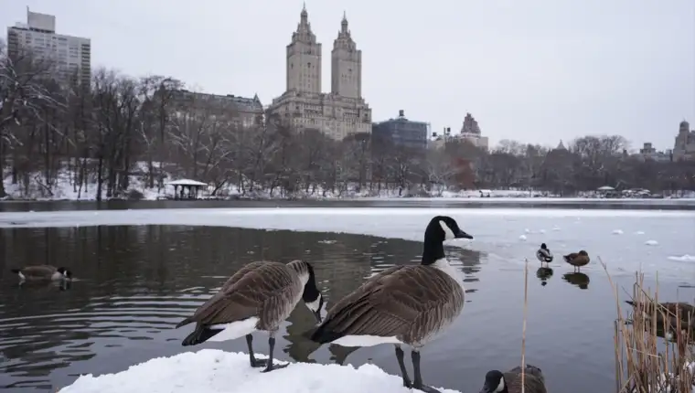 AA-20250213-37037659-37037644-NJUJORSKI_CENTRAL_PARK_POD_SNJEZNIM_POKRIVACEM