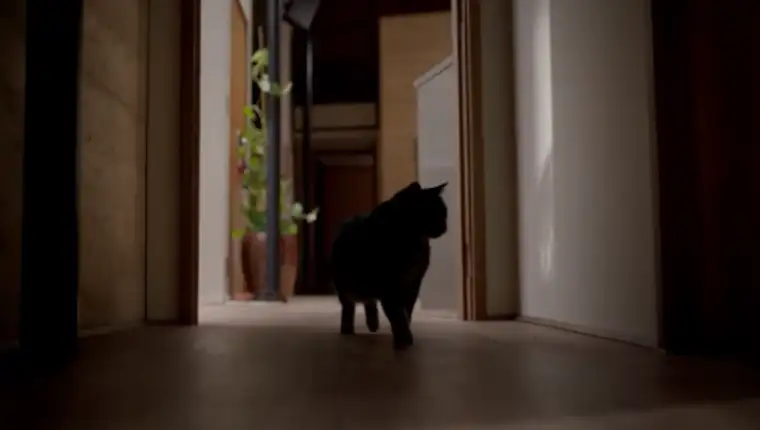 trailer 4