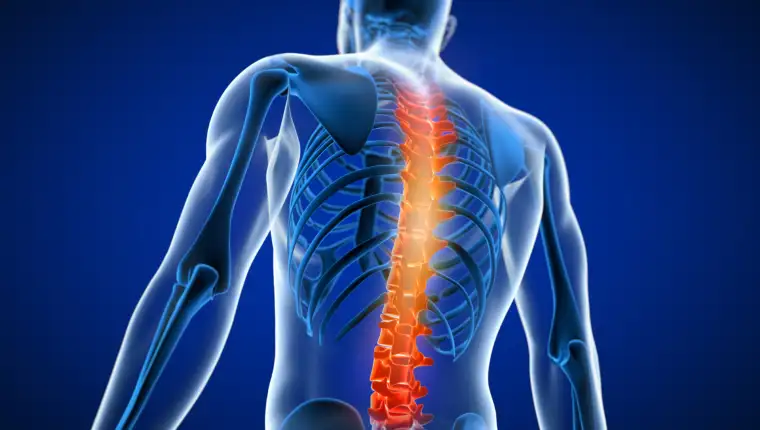3d rendered medically accurate illustration of a man having a painful back