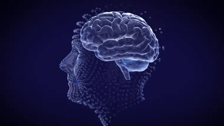 human-face-brain-hologram-wireframe-style-3d-rendering