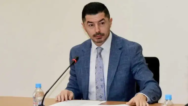 damir bulcevic