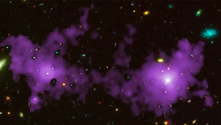 cosmic-web-l
