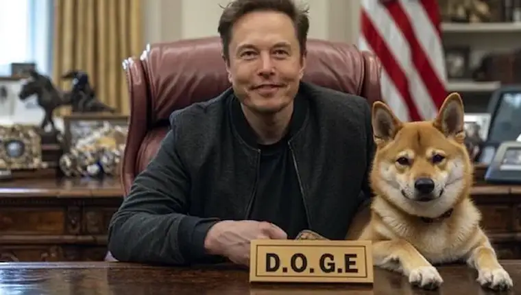 f0qj53v_elon-musk-doge_625x300_15_November_24