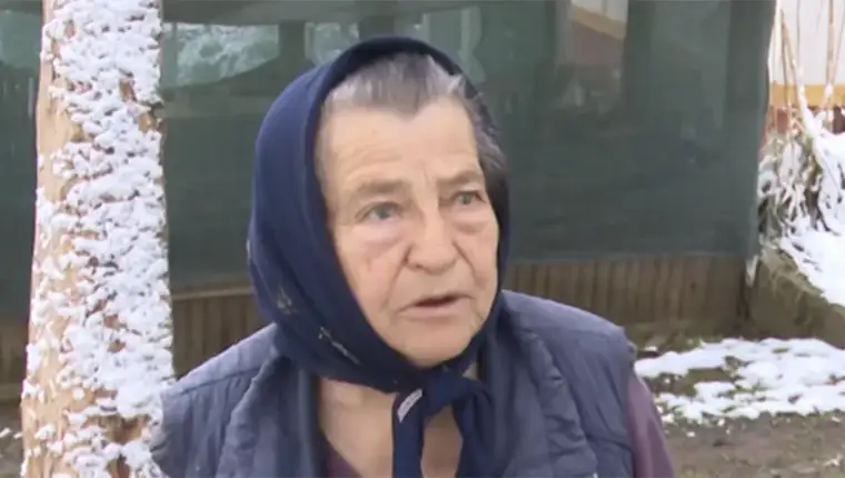 драгица