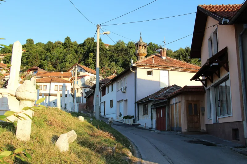 alifakovac1