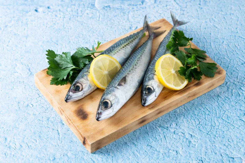 Raw mackerel fish on blue background