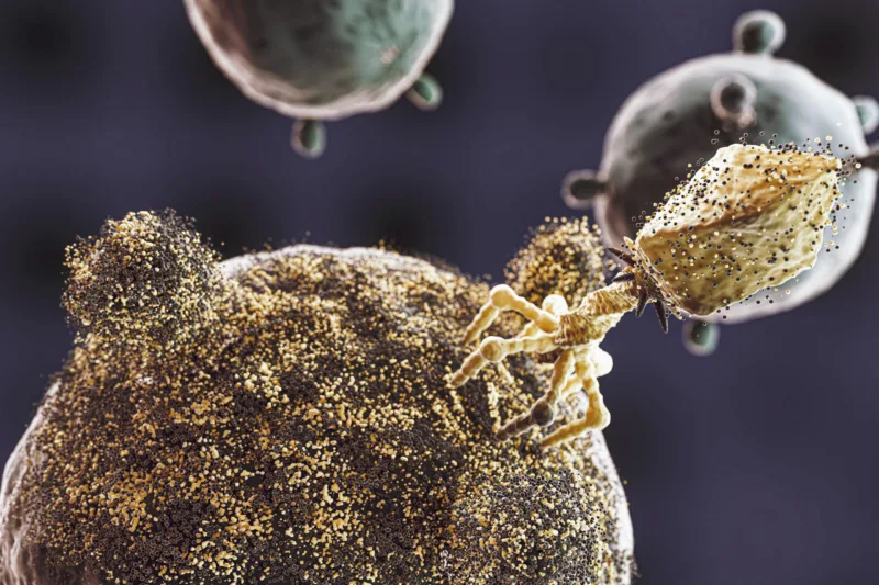 3D microorganisms