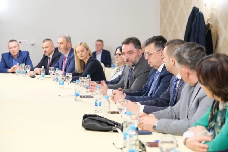 stasa kosarac direktori