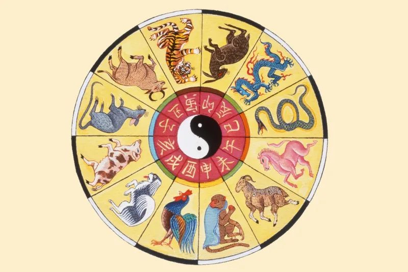 kineski horoskop