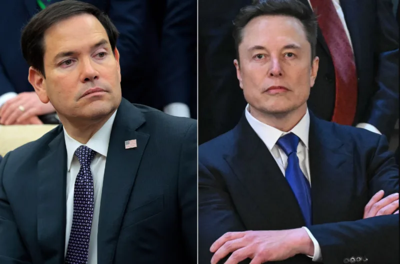 rubio musk