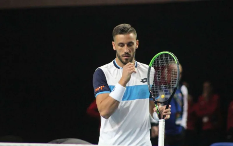 dzumhur 5