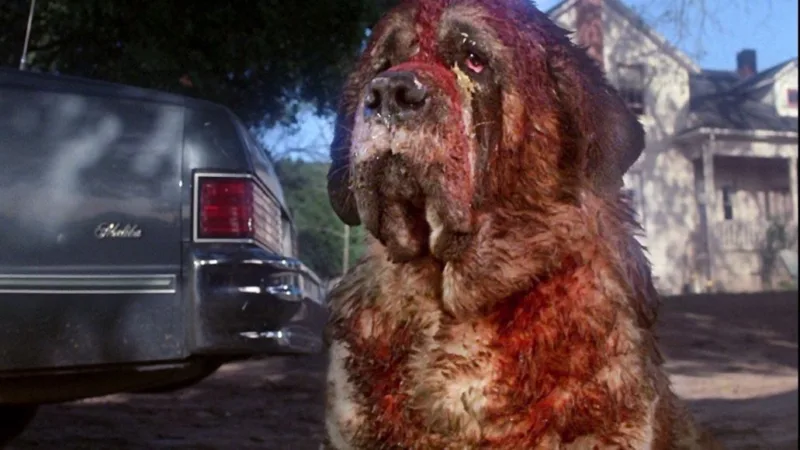cujo