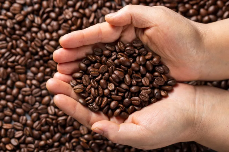 kafa5