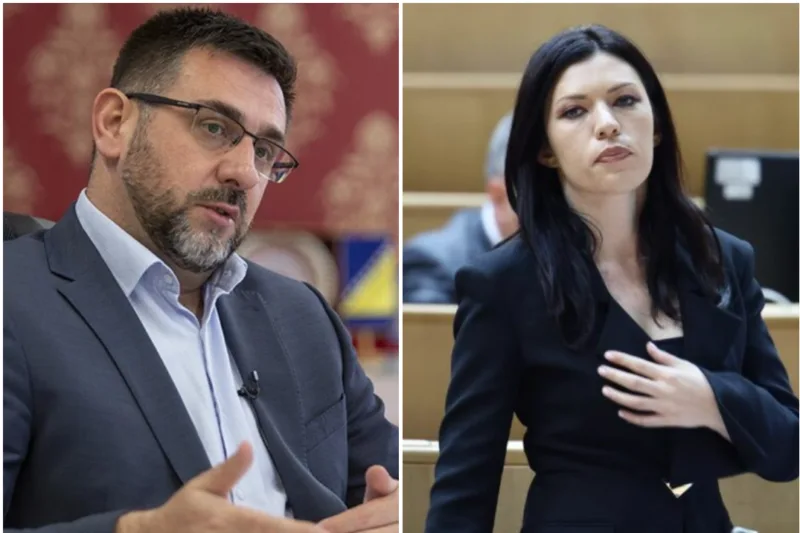 edin ramic sanja vulic
