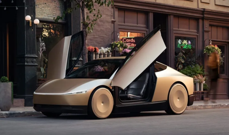 tesla robotaxi
