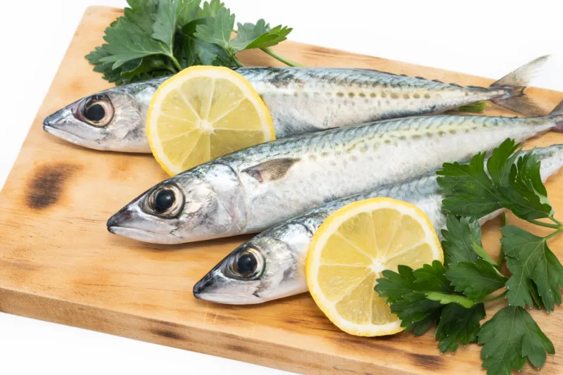 sardine