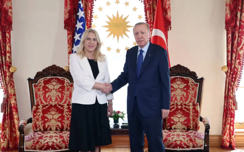 cvijanovic erdogan 1