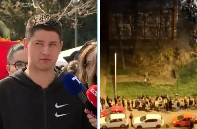 miloš pavlović ćacilend