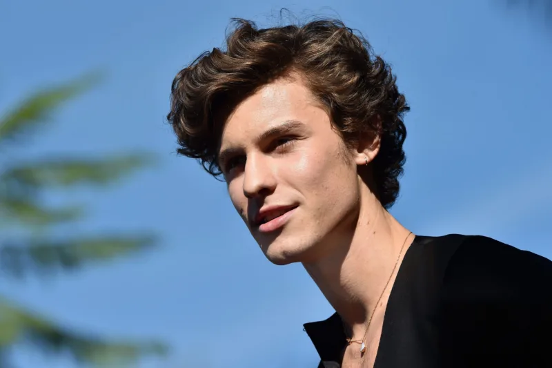 shawn mendes