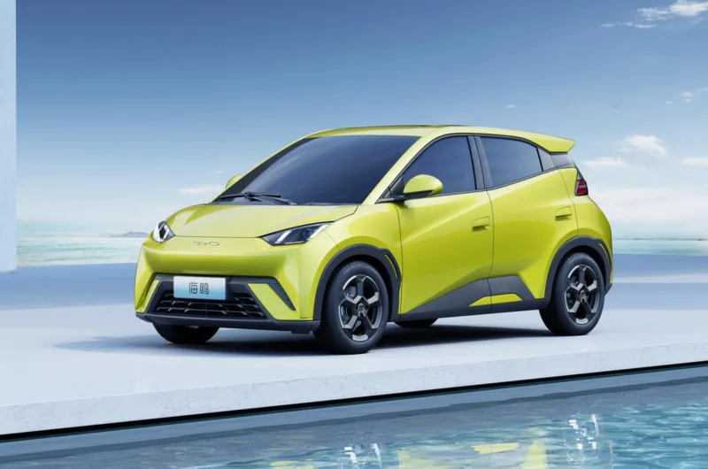BYD Dolphin Surf