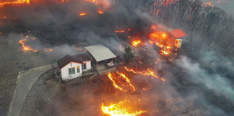 južna koreja požar