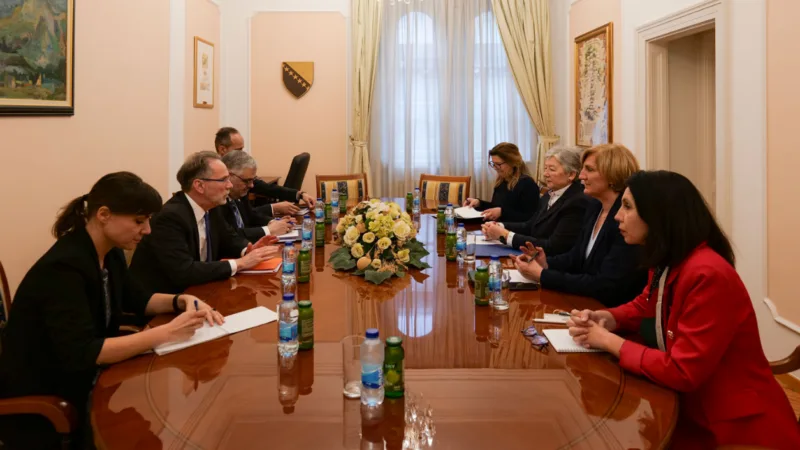 williamson ustavni sud bih 1