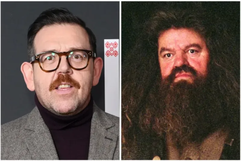 Nick Frost Hagrid